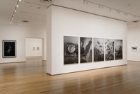 Photography Collection Rotation: Menschel Gallery. Jan 19–Apr 23, 2007. 1 other work identified