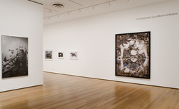 Installation photo, 4 of 13