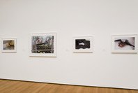 Photography Collection Rotation: Menschel Gallery. Jan 19–Apr 23, 2007.
