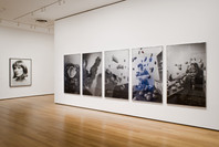 Photography Collection Rotation: Menschel Gallery. Jan 19–Apr 23, 2007. 1 other work identified