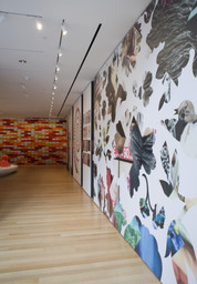 Installation photo, 10 of 12