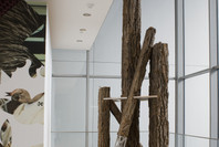 Just In: Recent Acquisitions from the Collection. Dec 21, 2007–Oct 27, 2008. 1 other work identified