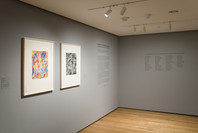 Artistic Collaborations: 50 Years at Universal Limited Art Editions. Jan 17–May 21, 2007. 1 other work identified