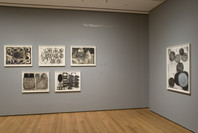 Artistic Collaborations: 50 Years at Universal Limited Art Editions. Jan 17–May 21, 2007. 5 other works identified