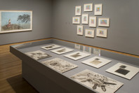 Artistic Collaborations: 50 Years at Universal Limited Art Editions. Jan 17–May 21, 2007. 9 other works identified