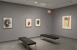 Installation photo, 20 of 21
