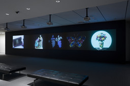Installation photo, 11 of 17