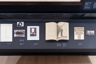 Félix Fénéon: The Anarchist and the Avant-Garde—From Signac to Matisse and Beyond. Aug 27, 2020–Jan 2, 2021.