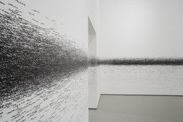 Installation photo, 25 of 29