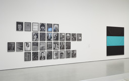 Installation photo, 9 of 14