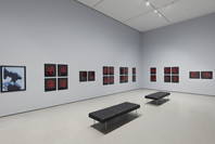 211: Carrie Mae Weems’s From Here I Saw What Happened and I Cried. Fall 2020–Spring 2021. 24 other works identified