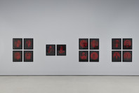 211: Carrie Mae Weems’s From Here I Saw What Happened and I Cried. Fall 2020–Spring 2021. 16 other works identified