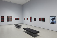 211: Carrie Mae Weems’s From Here I Saw What Happened and I Cried. Fall 2020–Spring 2021. 15 other works identified