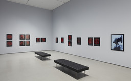 Installation photo, 4 of 6