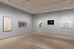 Installation photo, 4 of 30