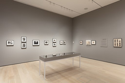 409: Gordon Parks and “The Atmosphere of Crime”. Ongoing. 11 other works identified