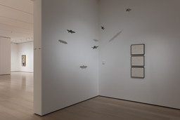 Installation photo, 4 of 9
