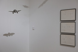 Installation photo, 5 of 9