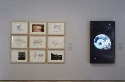 Installation photo, 10 of 16