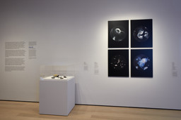 Installation photo, 11 of 16