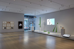 Installation photo, 13 of 16