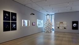 Installation photo, 15 of 16