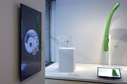 Installation photo, 6 of 16