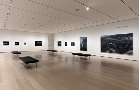 516: Gerhard Richter's October 18, 1977 | MoMA