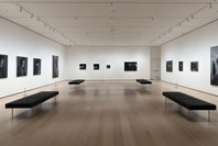 516: Gerhard Richter’s October 18, 1977. Fall 2020–Spring 2021.