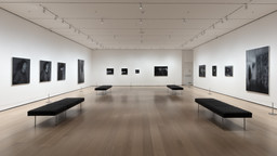 Installation photo, 4 of 4