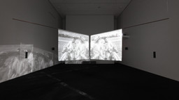 Installation photo, 3 of 19