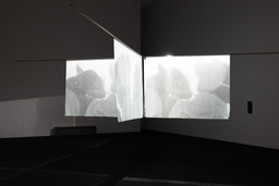 Installation photo, 7 of 19