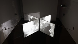 Installation photo, 15 of 19