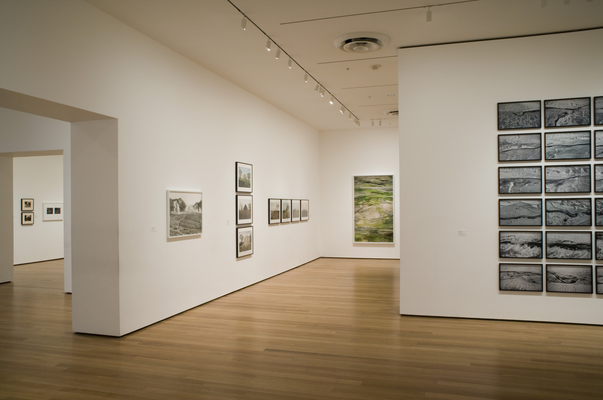 Installation view of the exhibition "Landscape Recent Acquisitions" MoMA