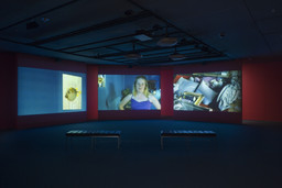 Installation photo, 1 of 7