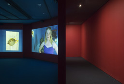 Installation photo, 5 of 7