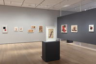 Engineer, Agitator, Constructor: The Artist Reinvented. Dec 13, 2020–Apr 10, 2021. 7 other works identified
