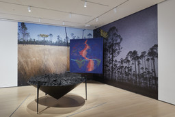 Installation photo, 9 of 44
