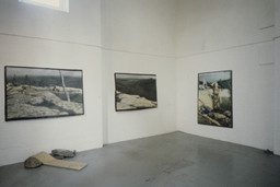 The Museum of Modern Art Archives, New York