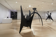 Alexander Calder: Modern from the Start. Mar 14, 2021–Jan 15, 2022. 2 other works identified