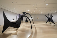 Alexander Calder: Modern from the Start. Mar 14, 2021–Jan 15, 2022. 2 other works identified
