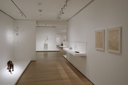 Installation photo, 19 of 57