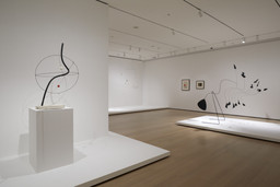 Installation photo, 26 of 57