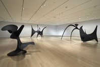 Alexander Calder: Modern from the Start. Mar 14, 2021–Jan 15, 2022. 1 other work identified