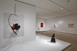 Installation photo, 40 of 57