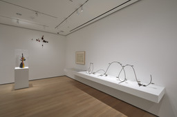 Installation photo, 41 of 57