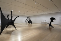 Alexander Calder: Modern from the Start. Mar 14, 2021–Jan 15, 2022. 1 other work identified