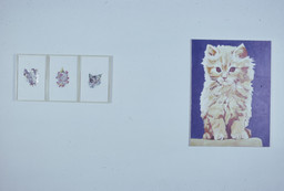 Installation photo, 14 of 31