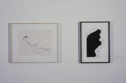 Installation photo, 7 of 7