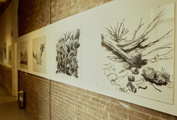 The Museum of Modern Art Archives, New York